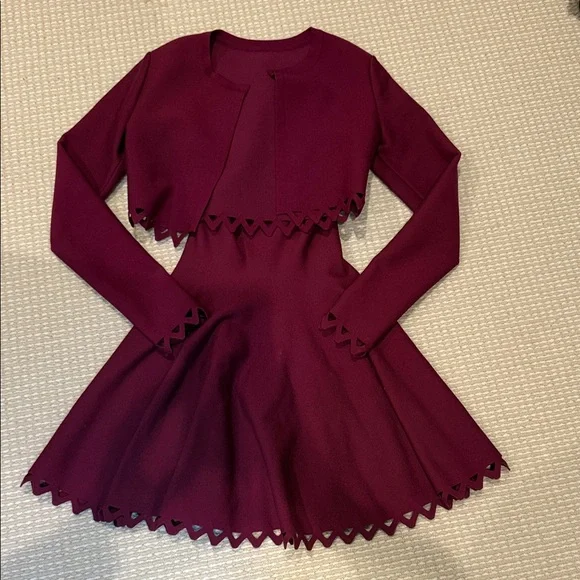 alaia burgundy dress Alaia Maxi Dress